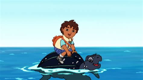 Watch Go, Diego, Go! Season 1 Episode 16: Go, Diego, Go! - Save the Sea Turtles – Full show on ...