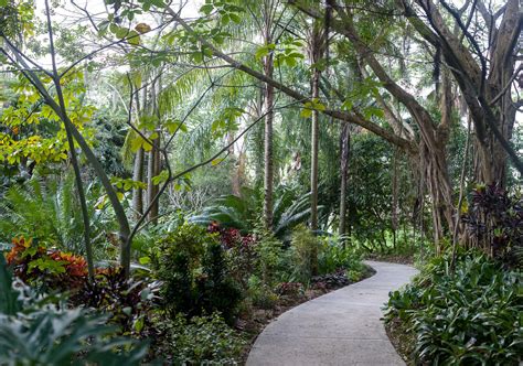 Orlando Oasis at Leu Gardens - Cultivated and Wild