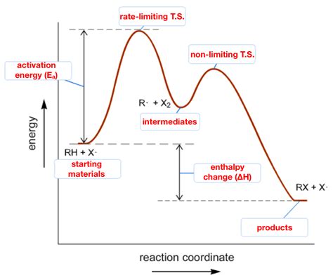 Chemical Potential Energy Diagram