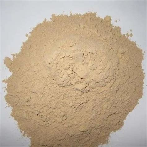 Bentonite Powder And Clay - Bentonite Clay Powder Manufacturer from Vapi