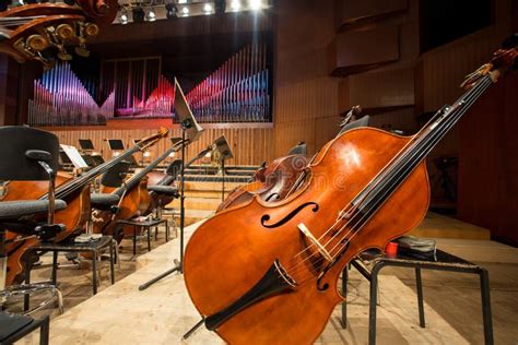 Cellos and Double Bass Lying on the Floor Stock Image - Image of melody, musician: 44920617