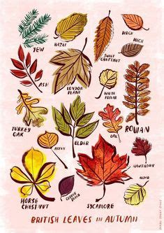 66 • WINTER LEAVES ART • ideas | leaf art, watercolor, watercolor leaves