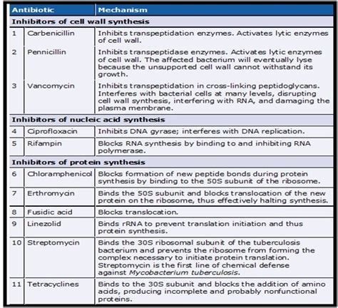 antibiotic mechanisms chart | Antibiotic Mechanism of Action | Antibiotic, Anatomy and ...