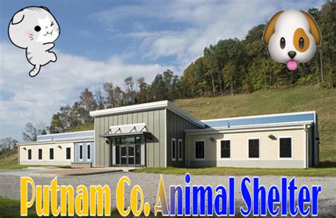 Animals for adoption at Putnam County Animal Shelter in | PetCurious