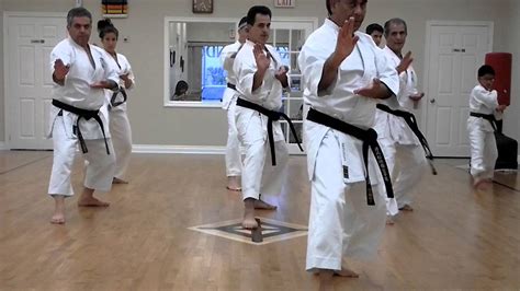 Gekko karate kihon - YouTube