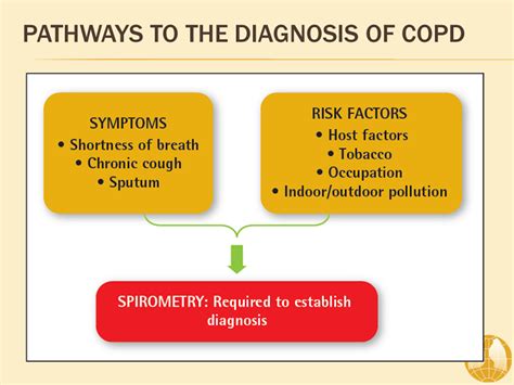 Pathways to the Diagnosis of COPD - Diagnosis and Assessment of COPD ...