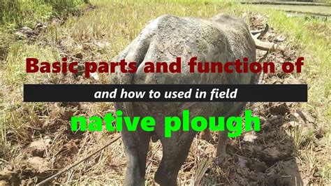 Native Plough (plow) I Basic Parts and Function I Simple uses - YouTube