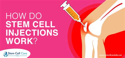 How Do Stem Cell Injections Work? - Stem Cell Care India Home