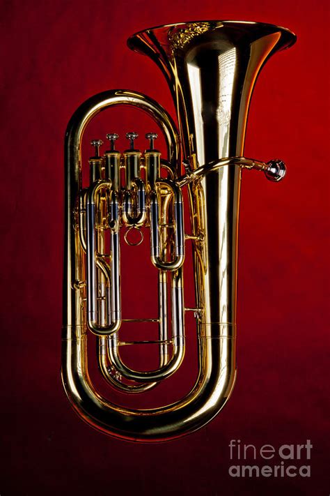 Picture of Bass Tuba Brass Instrument in Color 3394.02 Photograph by M K Miller | Fine Art America