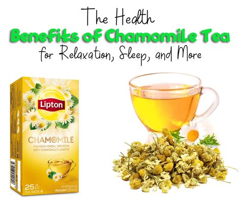 The Amazing Benefits of Chamomile Tea