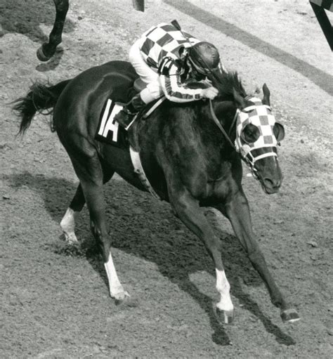 Secretariat’s Descendant Yet to Get a Jockey for the Kentucky Derby ...