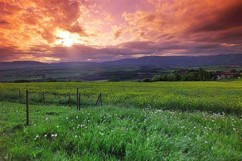 Green Meadow Under Sunset Sky With Clouds Background Sunset Sky Photo ...