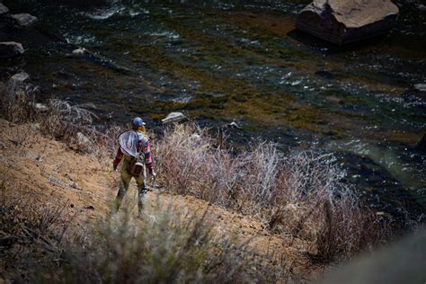 Fly Fishing the South Platte River, CO [River Segments, Flies and More ...