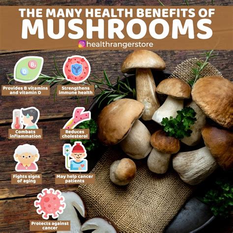 Top 7 benefits of mushrooms for your health | Mushroom benefits, Health benefits of mushrooms ...