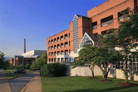 University of Tennessee Campus Photograph by Melinda Fawver - Fine Art America