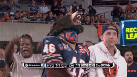 Da Bears Gif - Da-bears Gifs | fonewall