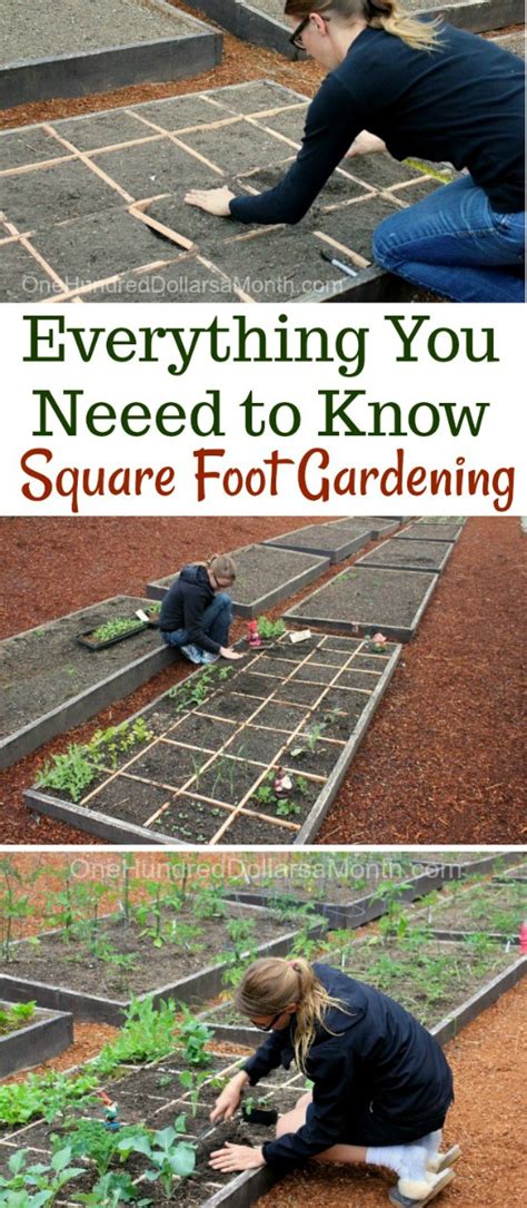 Everything You Need to Know About Square Foot Gardening - One Hundred Dollars a Month