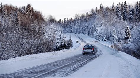 Climate Change Is Moving Russia's Taiga North, Scientists Warn - The Moscow Times