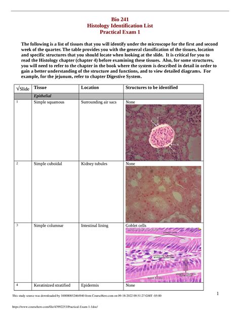 Practical Exam 1 1 - his - Bio 241 Histology Identification List ...