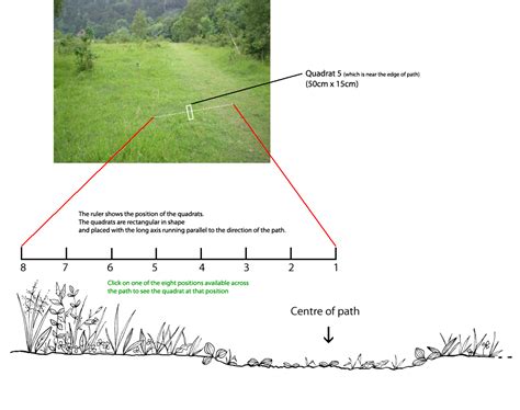 Transect across a footpath