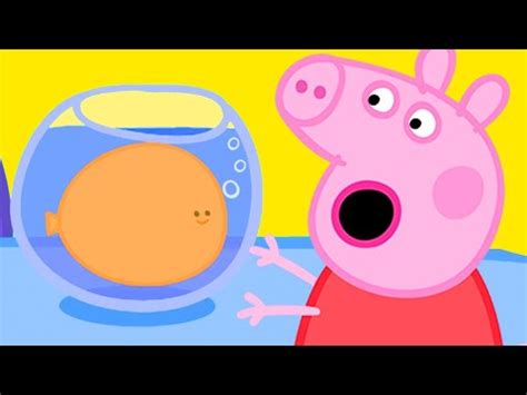 Peppa Pig Official Channel | Peppa Pig's Goldie the Fish Becomes Gigantic!