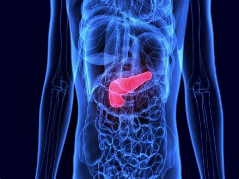 Gallbladder Pain Location Diagram