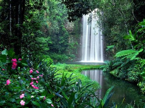 a large waterfall in the middle of a forest filled with lush green plants and flowers