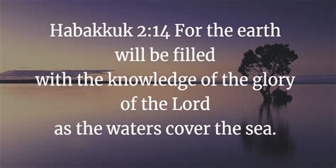 Habakkuk 2 Bible Study and Questions - God Answers Habakkuk