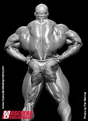 Pin on bodybuilding