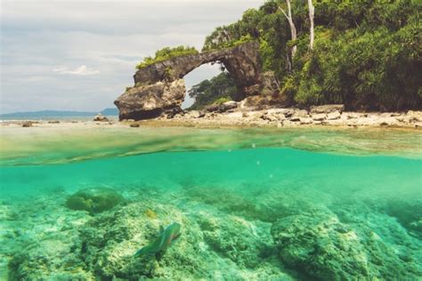 Introducing The Natural Bridge Neil Island | Andaman Islands