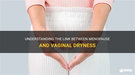 Understanding The Link Between Menopause And Vaginal Dryness | MedShun