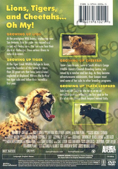 Growing Up Wild Cats on DVD Movie