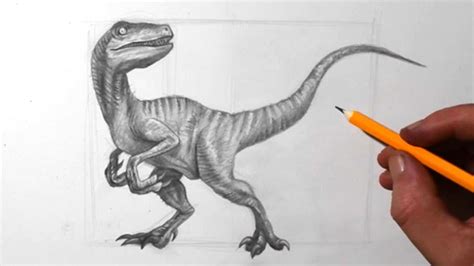 Cute Dinosaur Drawings In Pencil