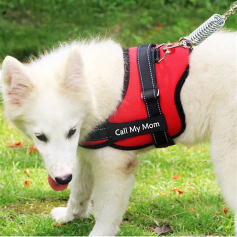 Drop shipping Pet Name Harness Small Medium Large Dog Personalized ...