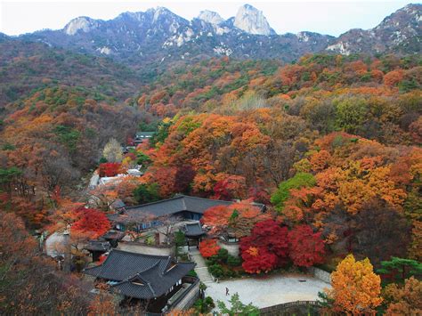 The Best Fall Foliage in the World (It's Not All in New England ...