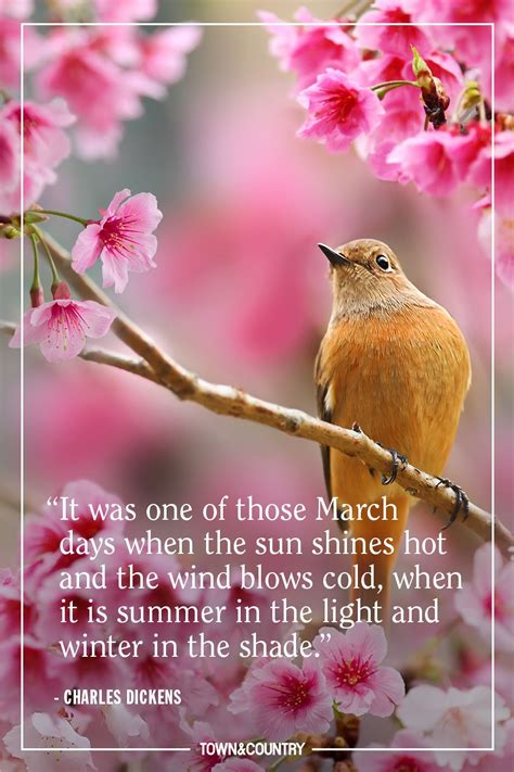 Spring Season Quotes - 36 Inspiring Spring Quotes To Celebrate The Season Real Simple : All ...