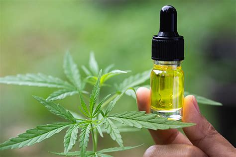 What is cannabis oil and how to use it?