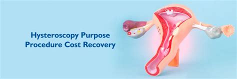 Hysteroscopy Procedure: Steps, Costs, Risks and Recovery