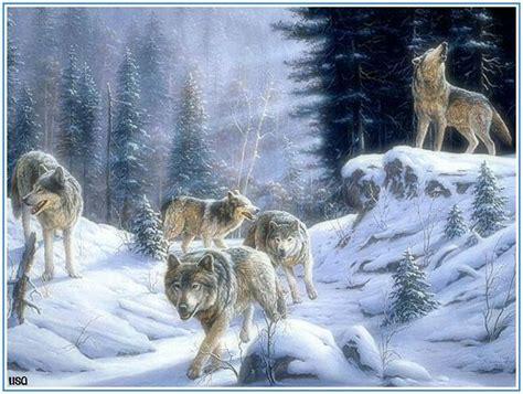 wolf pack | Wolf painting, Wolf artwork, Animal art