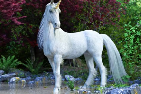 Journée mondiale de la licorne : d'où vient la légende de cet animal ...