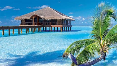 Luxury Holidays to Maldives 2018 / 2019 | Thomson now TUI