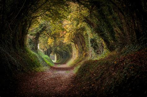 Halnaker tunnel by leecarpenter - VIEWBUG.com