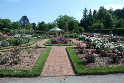 Biltmore Estate Gardens Facts – Beautiful Flower Arrangements and Flower Gardens