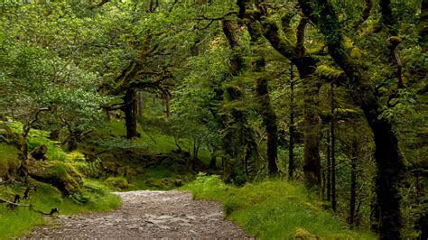 A Backpacker's Life: Killarney National Park