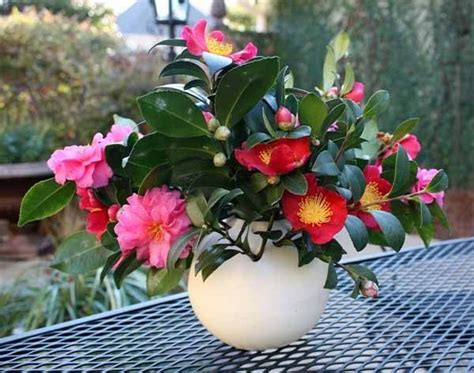 a white vase filled with lots of flowers on top of a metal table ...