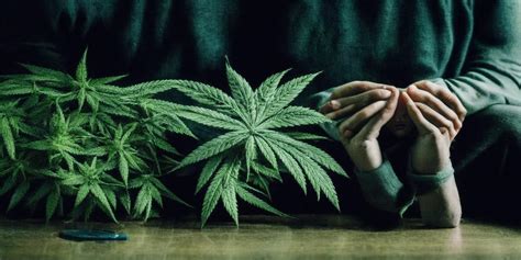 Understanding the Effects of Coping with Marijuana Withdrawal Anxiety ...