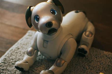 Sony's New Aibo Robot Dog Is Adorable & Expensive - Lowyat.NET