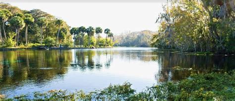 Clear Kayaking at Silver Springs State Park: Voted #1 in the state by ...