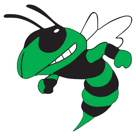 Hornet clipart angry hornet, Hornet angry hornet Transparent FREE for download on WebStockReview ...