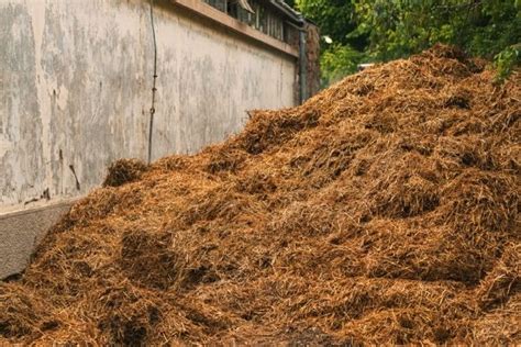 How To Use Horse Manure In Your Garden – Urban Garden Gal